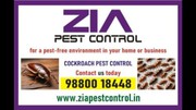 Cockroach Pest cleaning service | AMC are also available Price List